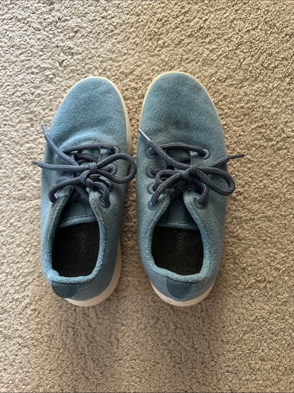 Allbirds light blue lace up felt sneakers